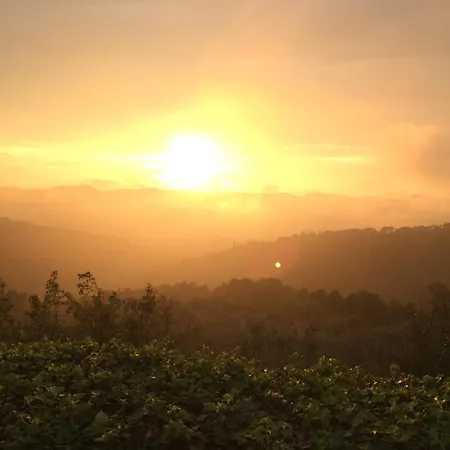 Podere Campolungo * 基安蒂格雷夫