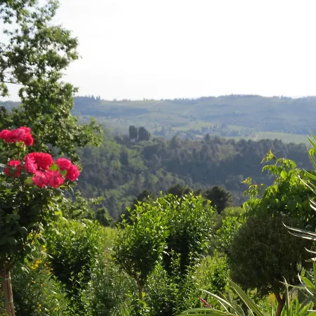 Podere Campolungo 基安蒂格雷夫