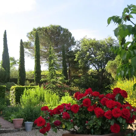 Podere Campolungo 公寓 *