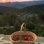 Lägenhet Podere Campolungo Greve in Chianti