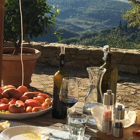 Podere Campolungo Greve in Chianti