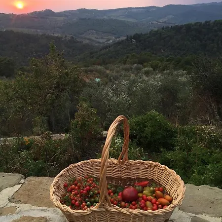 Appartamento Podere Campolungo Greve in Chianti
