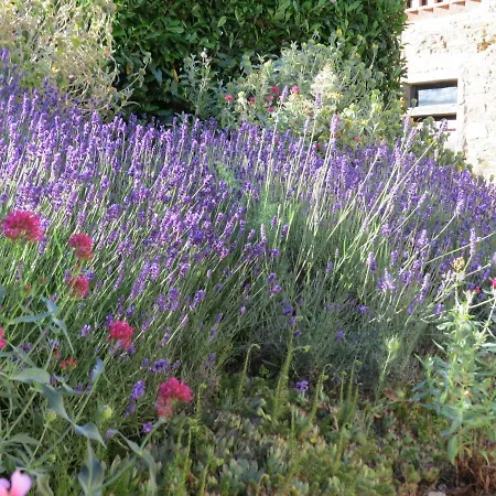 Apartment Podere Campolungo Greve in Chianti