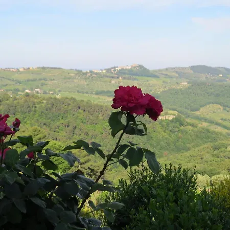 Podere Campolungo Apartment *