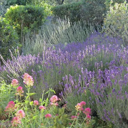 Apartment Podere Campolungo Greve in Chianti