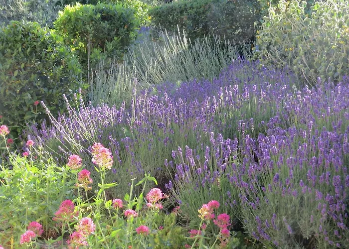 Διαμέρισμα Podere Campolungo Greve in Chianti